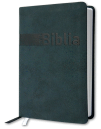 Detail Biblia Rohacek siva